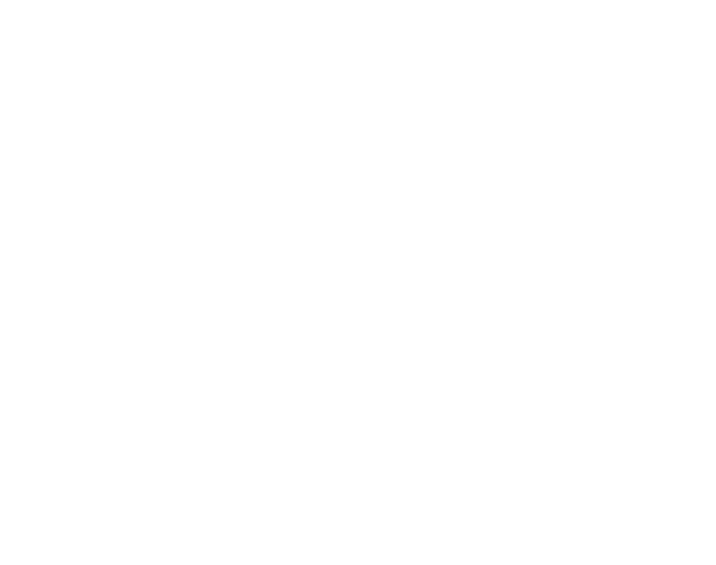 Luxture Surface Coatings official white logo for dark backgrounds