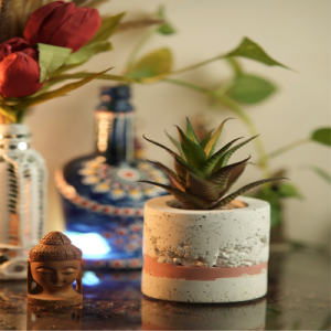 Concrete Planter