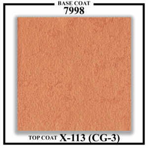 Cloudy 7998 – X-113 (CG-3)