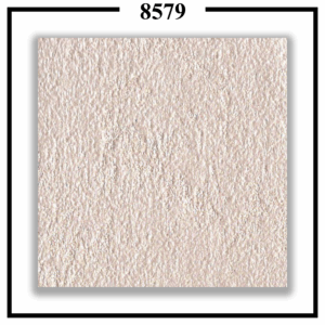 Cloudy 8579